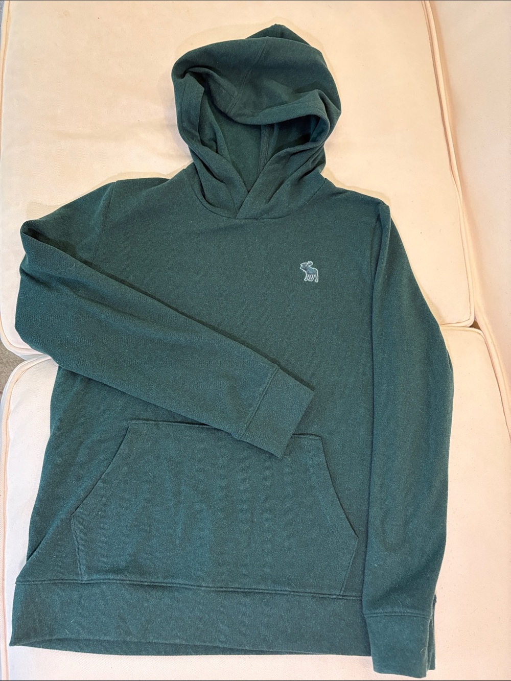 Abercrombie & Fitch Kids’ Forest Green Pullover Hoodie size 13/14 - like new